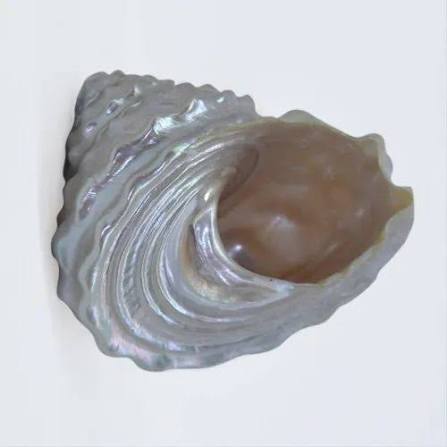 MUTHYAM SHANKU