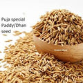 Vadlu/Dhann