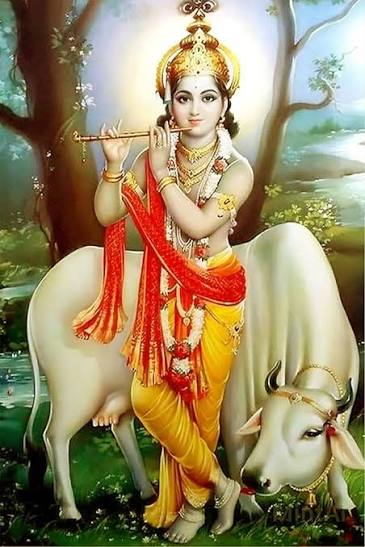 Krishna photo