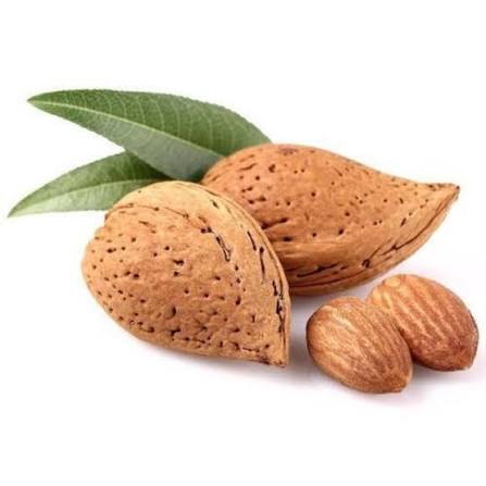 Badam