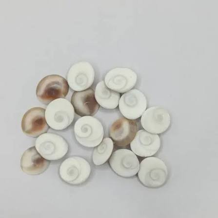 GOWMATHI CHAKRA